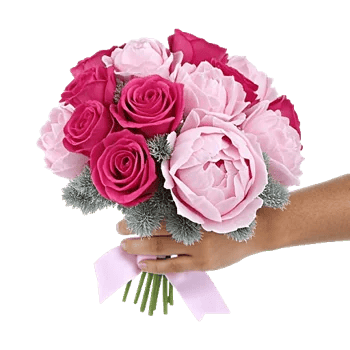 Pastel Pink Roses
