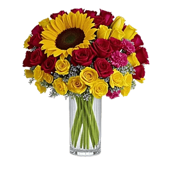 Radiant Bloom Cascade