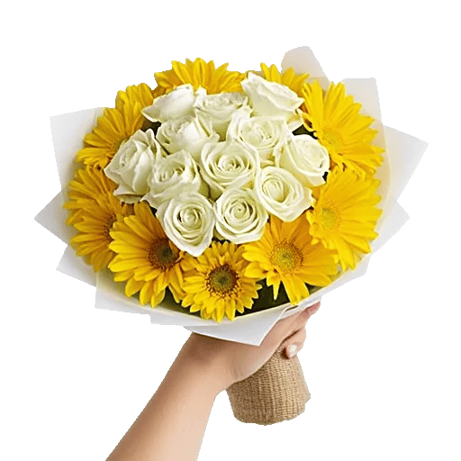 Blossom Harmony Display