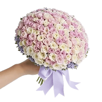 Pastel Blossom Grace