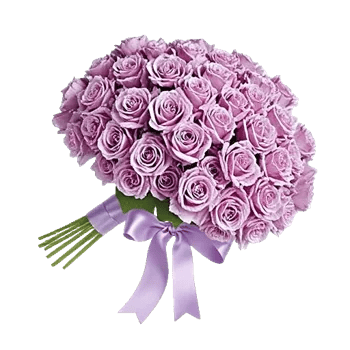 Lavender Bloom Grace