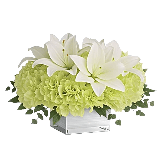 Graceful Lily Display