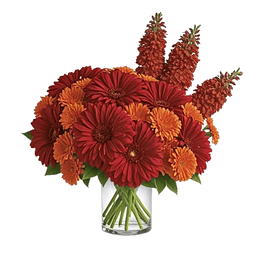 Crimson Blossom Harmony