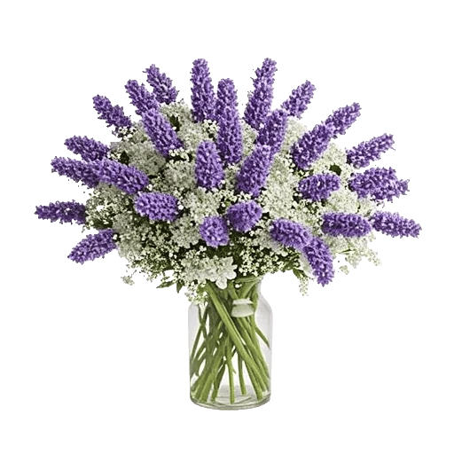 Lavender Bloom Grace
