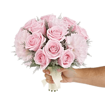 Pastel Pink Roses