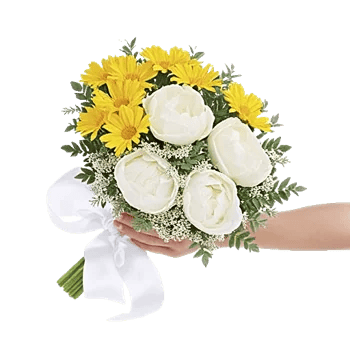 Enchanting Daisy Garden