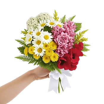 Delicate Petal Cascade