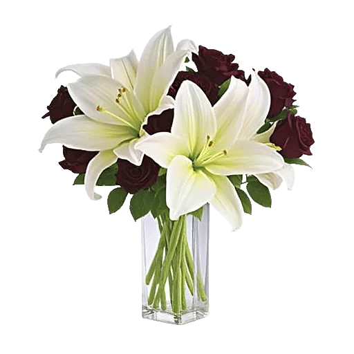 Graceful Lily Display