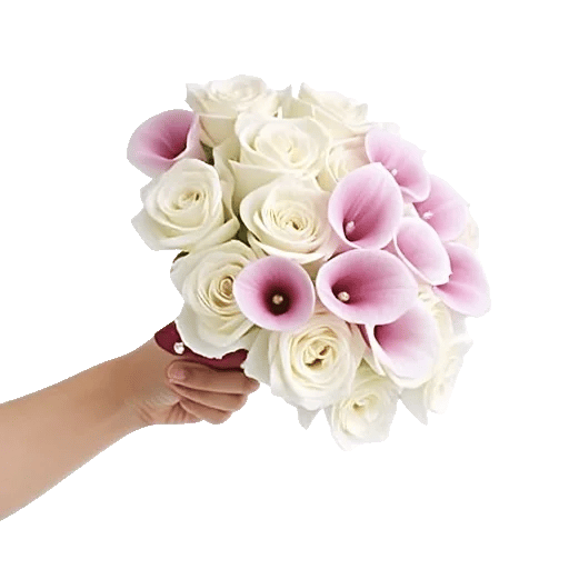 Elegant Calla Lilies