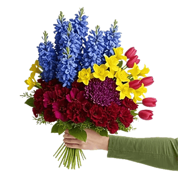 Crisp Spring Blooms