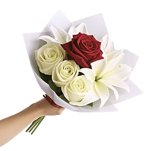 Crimson Rose Elegance