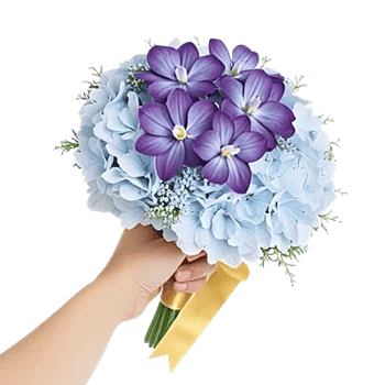 Elegant Blue Roses