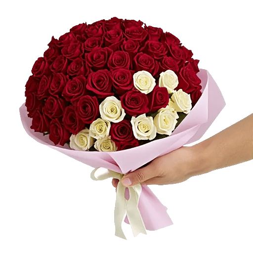 Crimson Rose Elegance