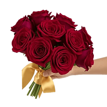 Crimson Rose Elegance