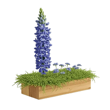 Sapphire Bloom Whisper