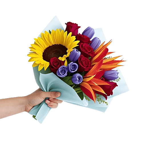 Tropical Sunflower Burst