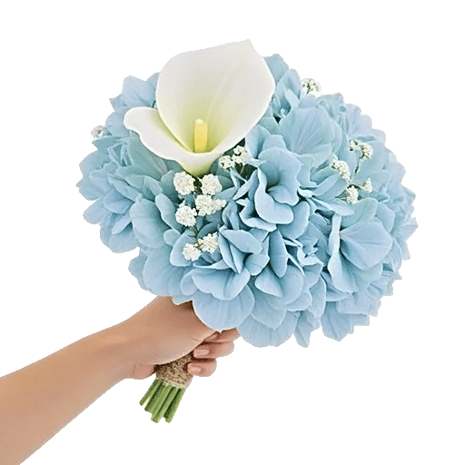 Elegant Calla Lilies