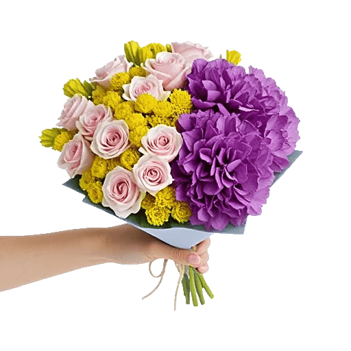 Serene Petal Harmony