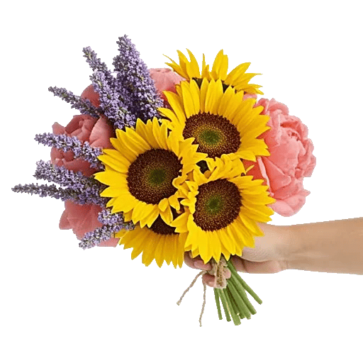 Twinkling Sunflower Dance