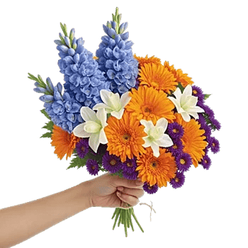 Petal Harmony Bliss