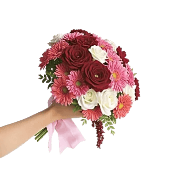 Coral Blossom Harmony