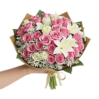 Blushing Rose Symphony