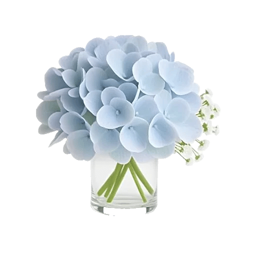 Serene Petal Harmony