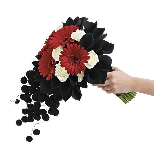 Elegant Calla Lilies