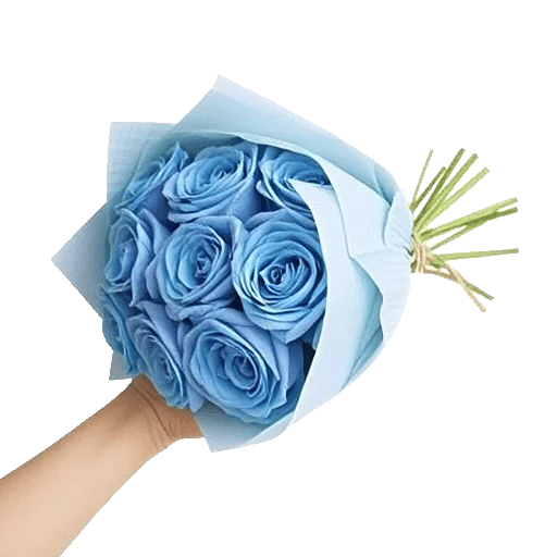 Elegant Blue Roses