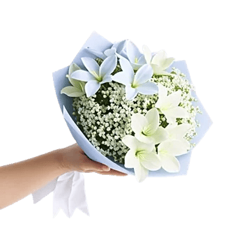 Blossom Petal Serenity