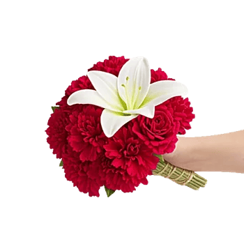 Scarlet Petal Grace