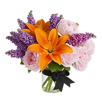 Petal Radiance Bliss