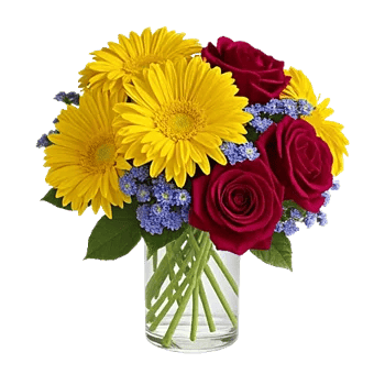 Crimson Blossom Harmony