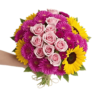 Pastel Pink Roses