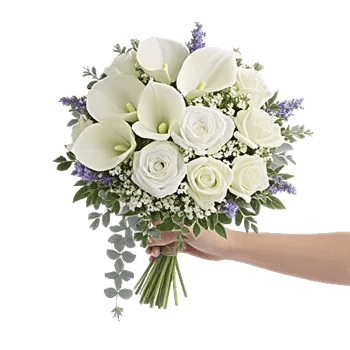 Delicate Petal Cascade