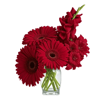 Crimson Blossom Harmony