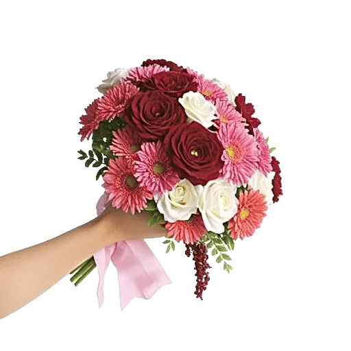 Coral Blossom Harmony