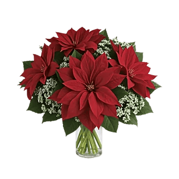 Crimson Blossom Harmony