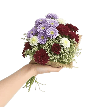 Ivory Blossom Radiance