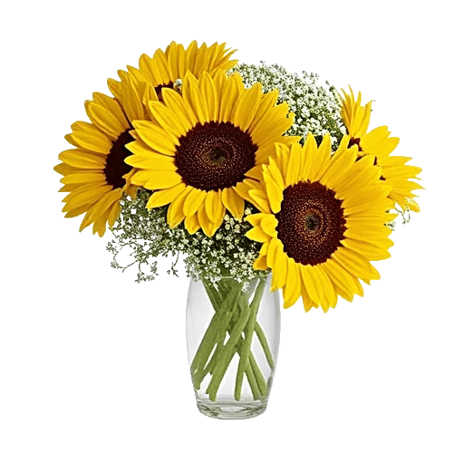 Radiant Bloom Cascade