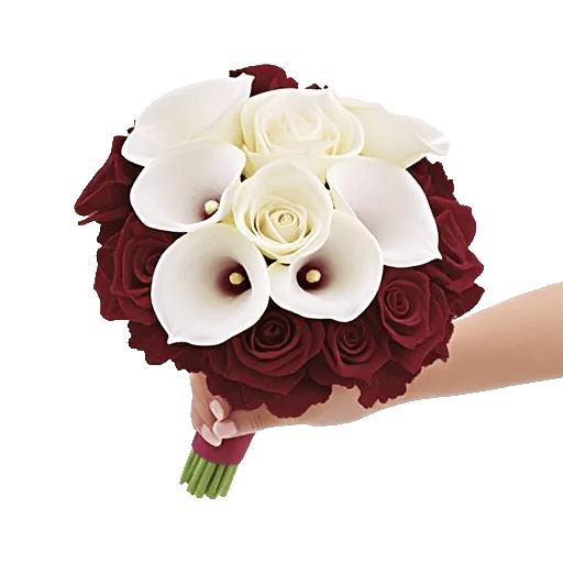 Elegant Calla Lilies