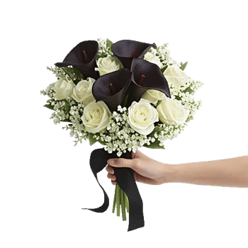 Elegant Calla Lilies