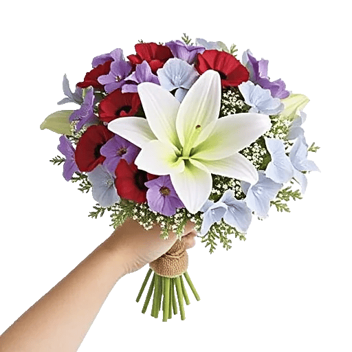 Dewy Morning Blossoms