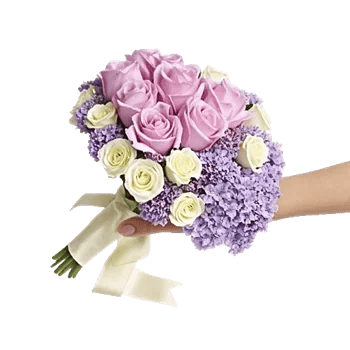 Pastel Pink Roses