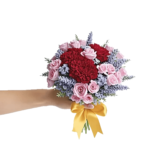Crimson Rose Elegance