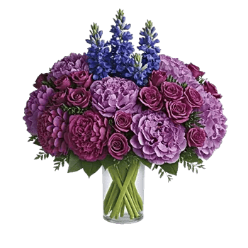 Sapphire Bloom Whisper