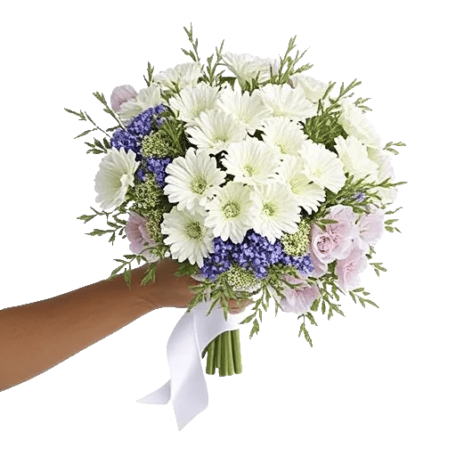 Petal Softness Display