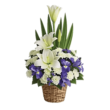 Graceful Lily Display