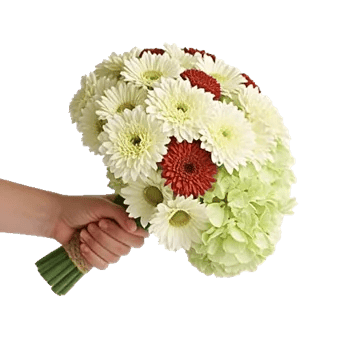 Petal Harmony Bliss
