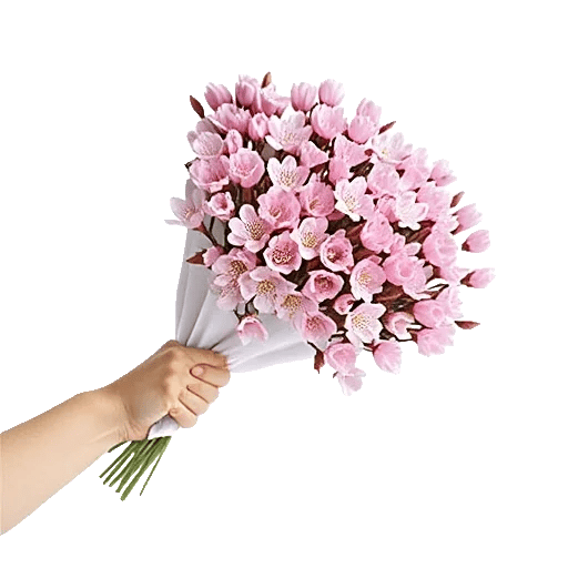 Cherry Blossom Magic